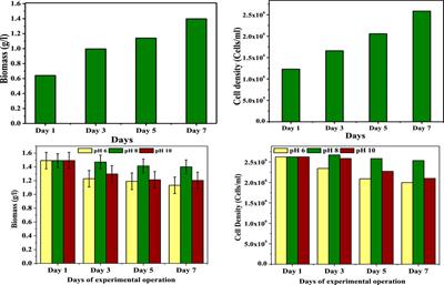 pH induced stress enhances lipid accumulation in microalgae grown under mixotrophic and autotrophic condition